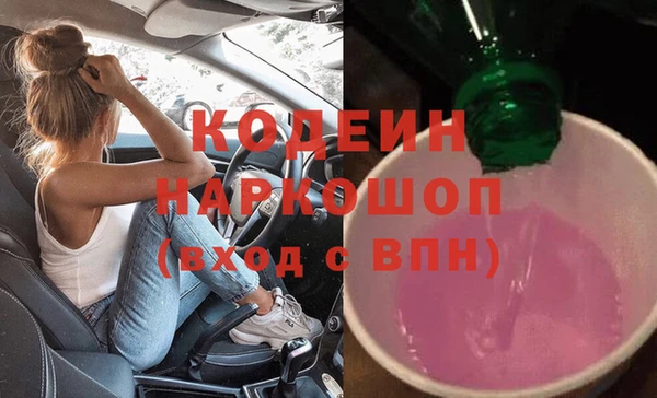 хмурый Мегион