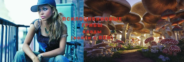 метадон Михайлов