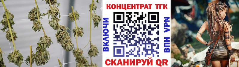ТГК THC oil  Благодарный 