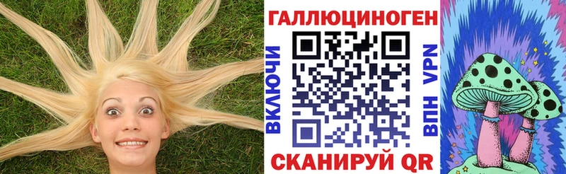 Псилоцибиновые грибы мицелий  Благодарный 