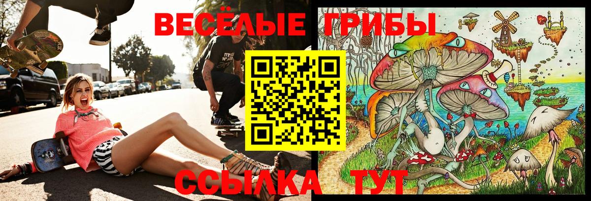 Псилоцибиновые грибы Psilocybine cubensis  Вход с VPN  Благодарный 