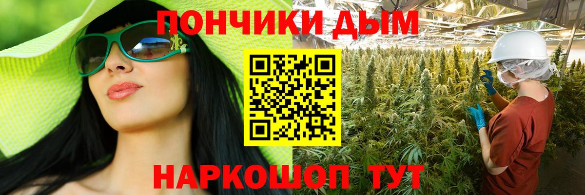 Конопля планчик  Шишки марихуана индика  Бошки марихуана марихуана  Благодарный  Каннабис Amnesia 